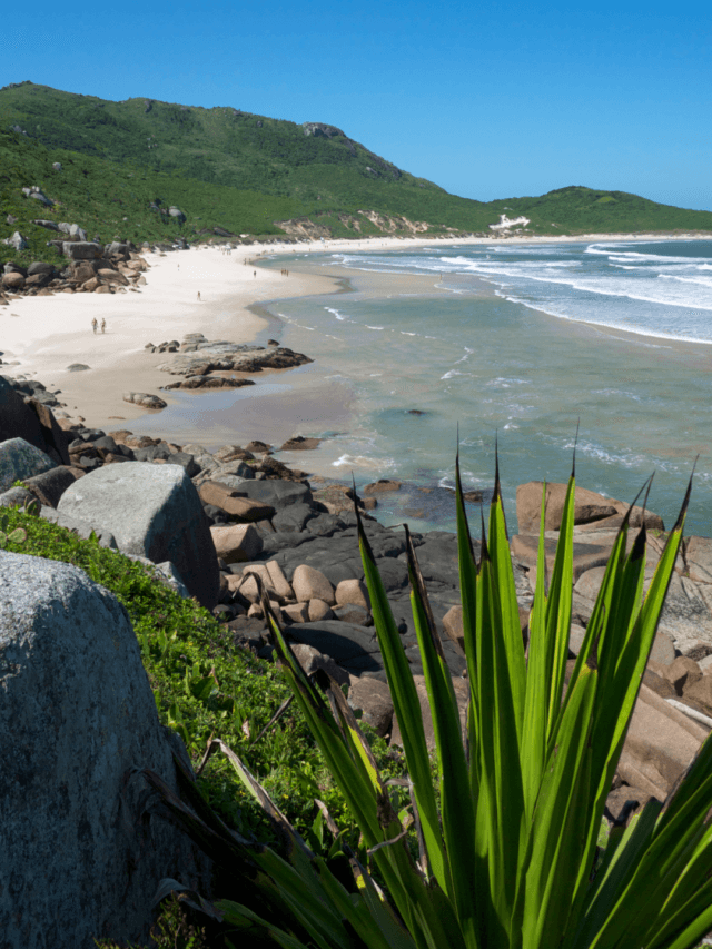 PEC da Privatização das Praias: Entenda a Polêmica.