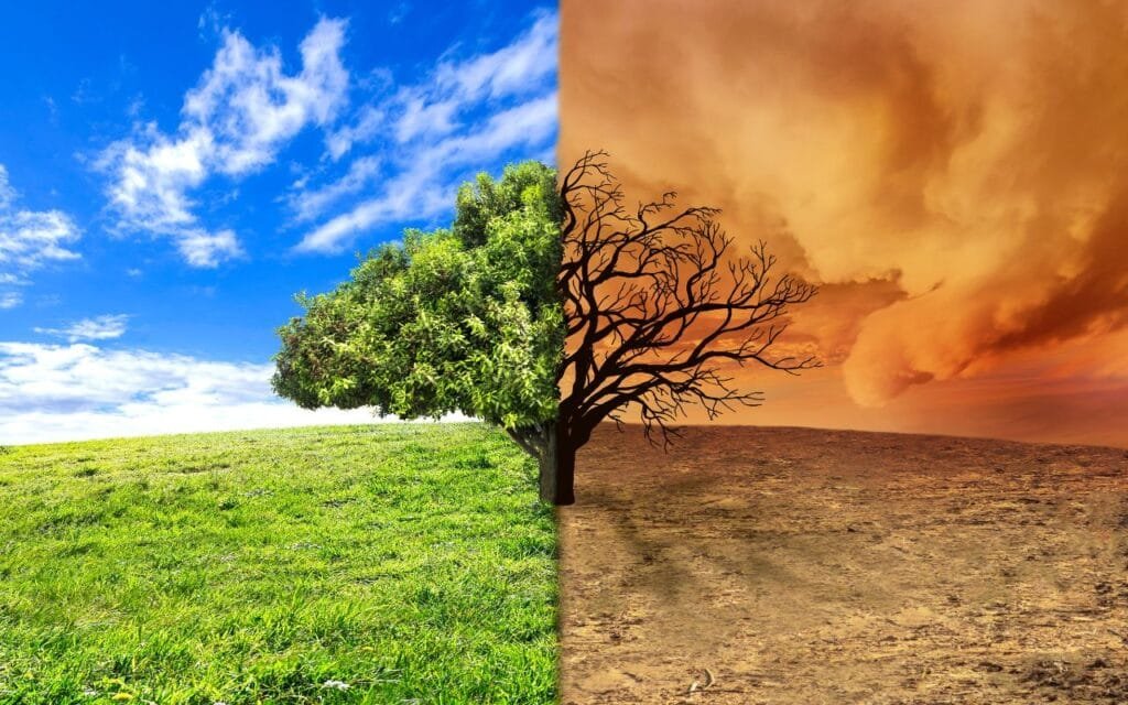 Uma árvore dividida ao meio com um lado verdejante e outro seco e desértico, representando o impacto das mudanças climáticas no meio ambiente.