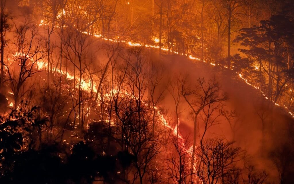Uma floresta em chamas com incêndios devastadores, um efeito direto das mudanças climáticas e do aquecimento global.