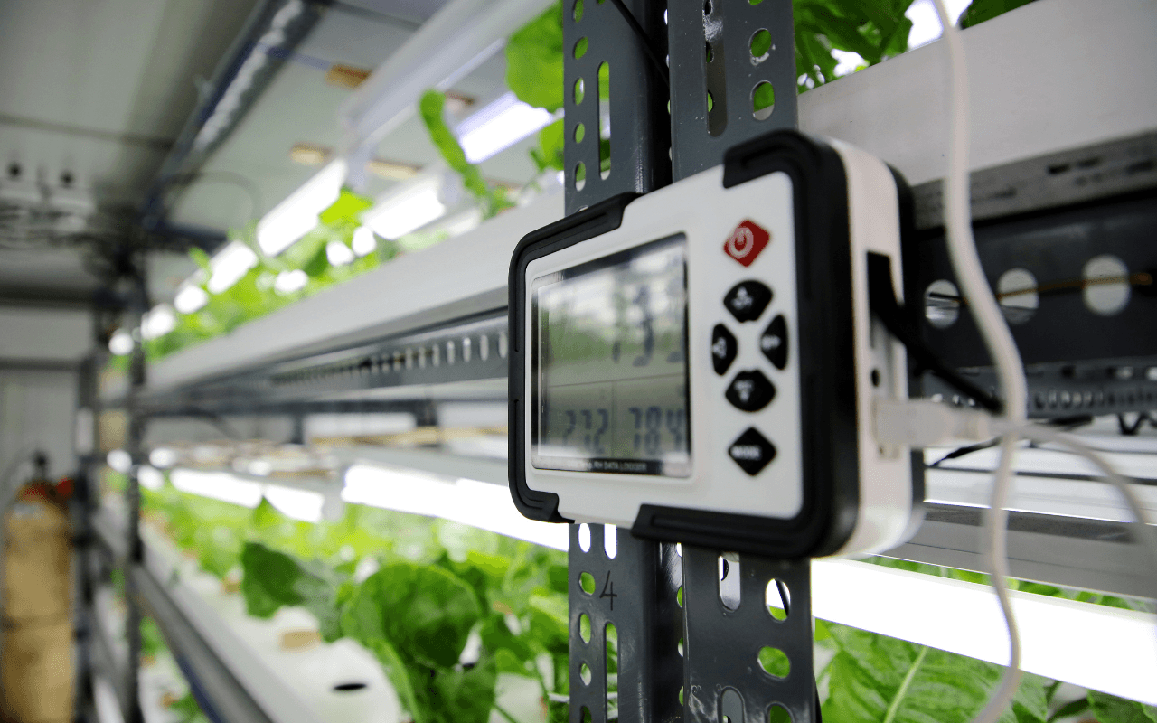 Sistema de monitoramento digital em uma estufa com plantas, representando o uso de tecnologias modernas na agricultura para aumentar a eficiência e sustentabilidade alimentar.