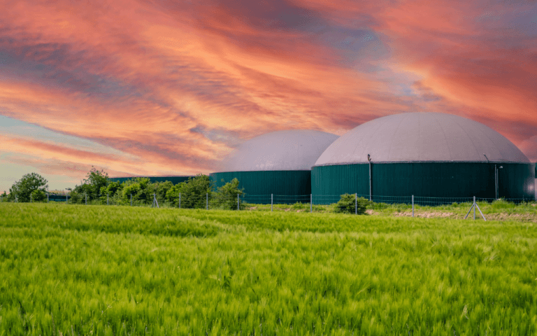 energia-biomassa-descubra-seus-beneficios